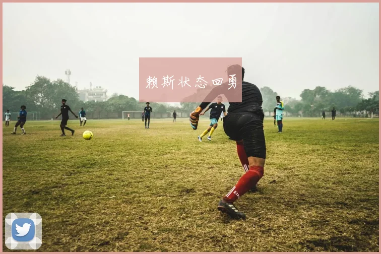 赖斯状态回勇