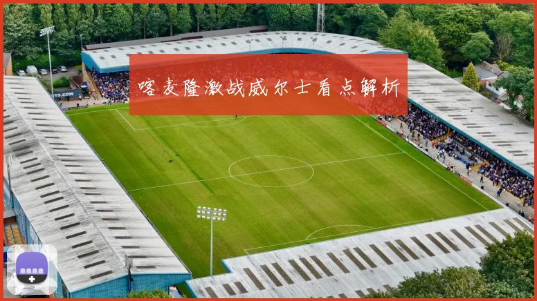 喀麦隆激战威尔士看点解析