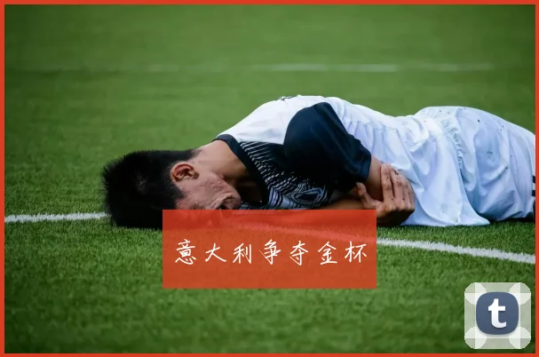 意大利争夺金杯