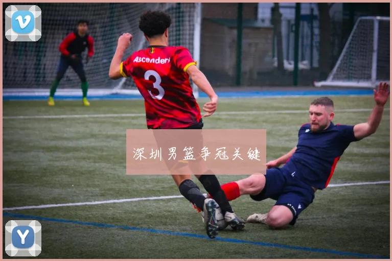 深圳男篮争冠关键