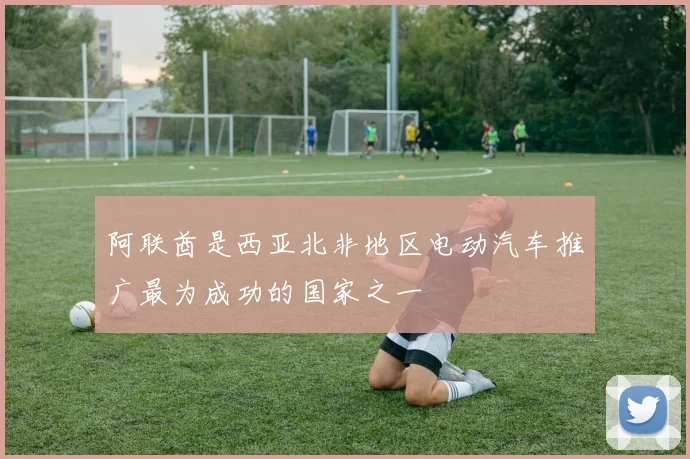 阿联酋是西亚北非地区电动汽车推广最为成功的国家之一