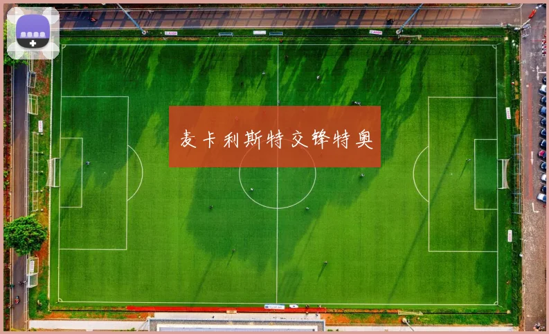 麦卡利斯特交锋特奥