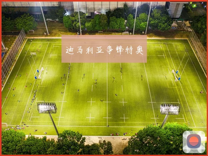 迪马利亚争锋特奥