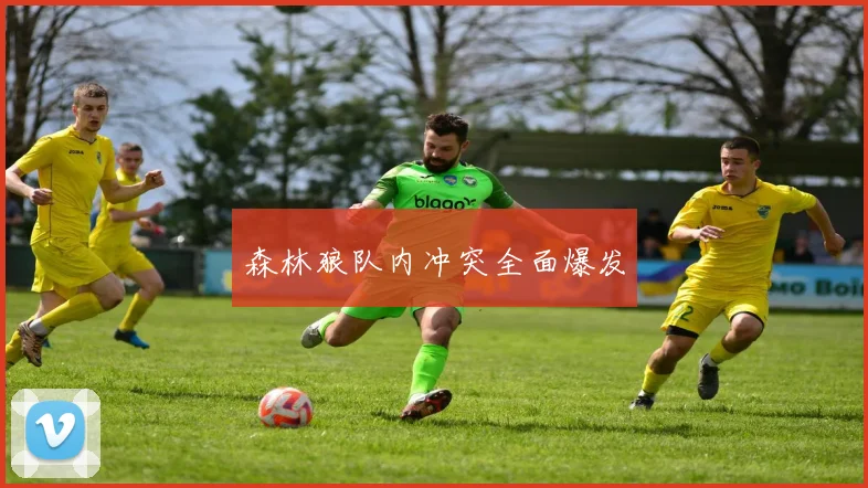 森林狼队内冲突全面爆发