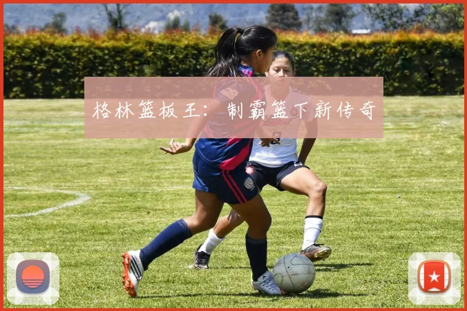 格林篮板王：制霸篮下新传奇